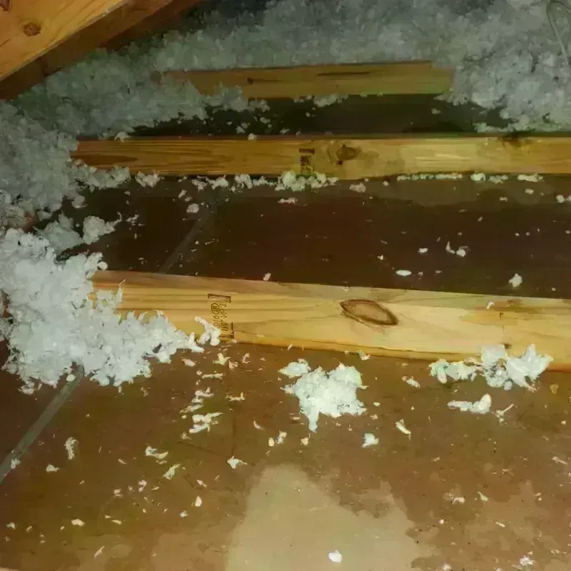 Attic Water Damage in Tonganoxie, KS